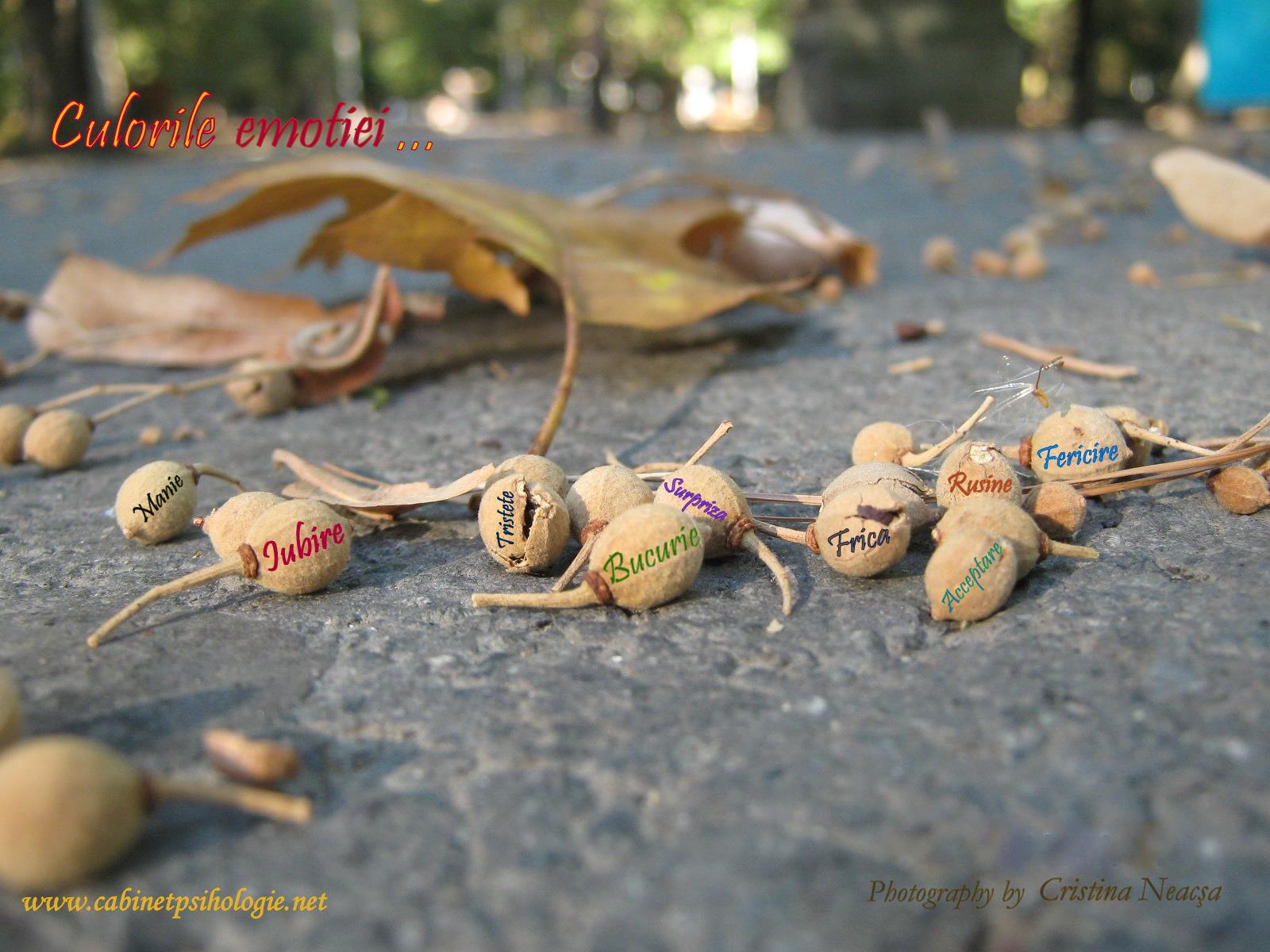 poza-culorile-emotiei